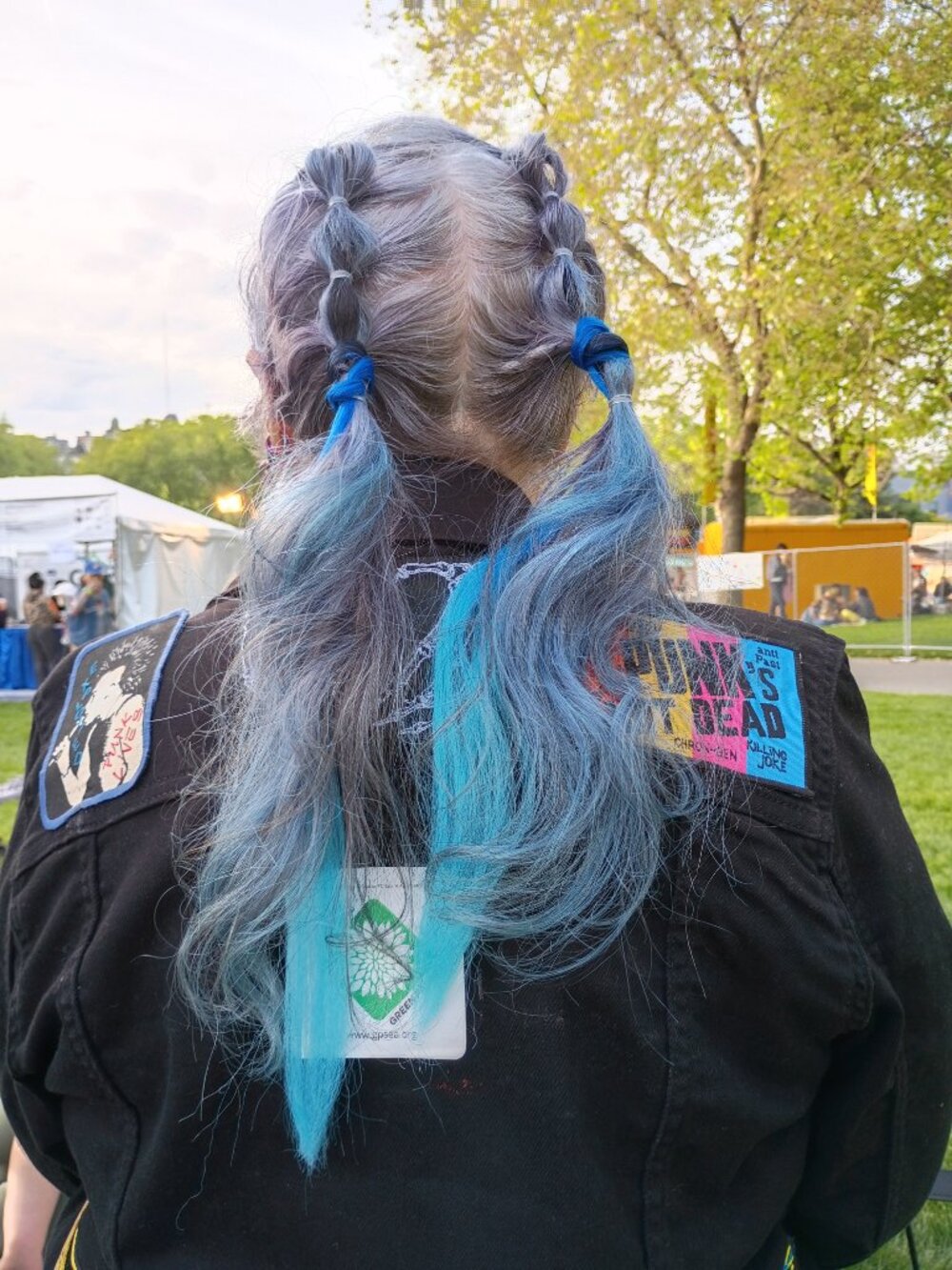 Basic Pony Braid. - Picture 13 of 15